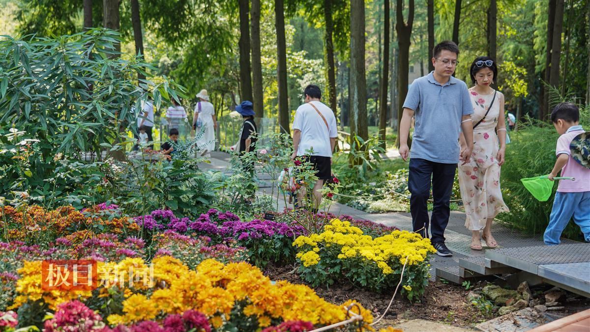 澳门威尼人一官方网址